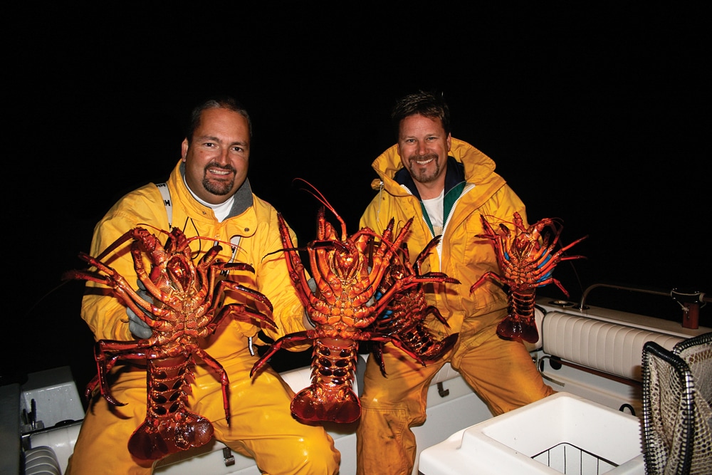 TAKING LOBSTER “BY HAND” AND 10 IMPORTANT RULES FOR LOBSTER DIVING –  Malibudivers