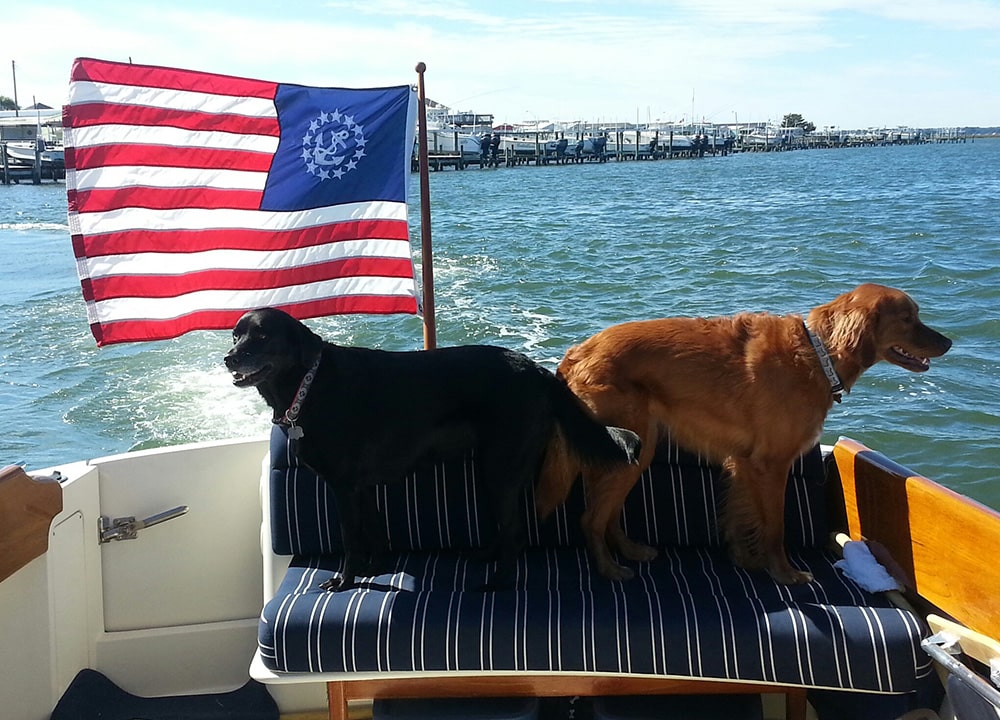 Boating with Dogs – Travfurler