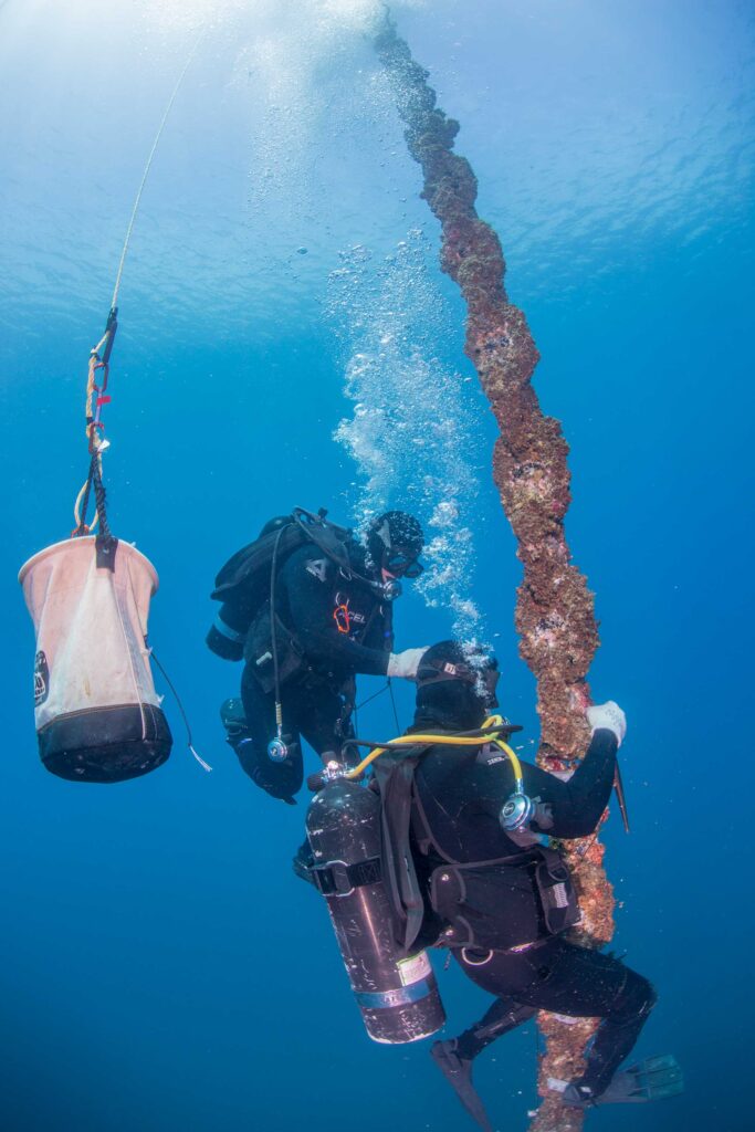 Repairing a buoy chain