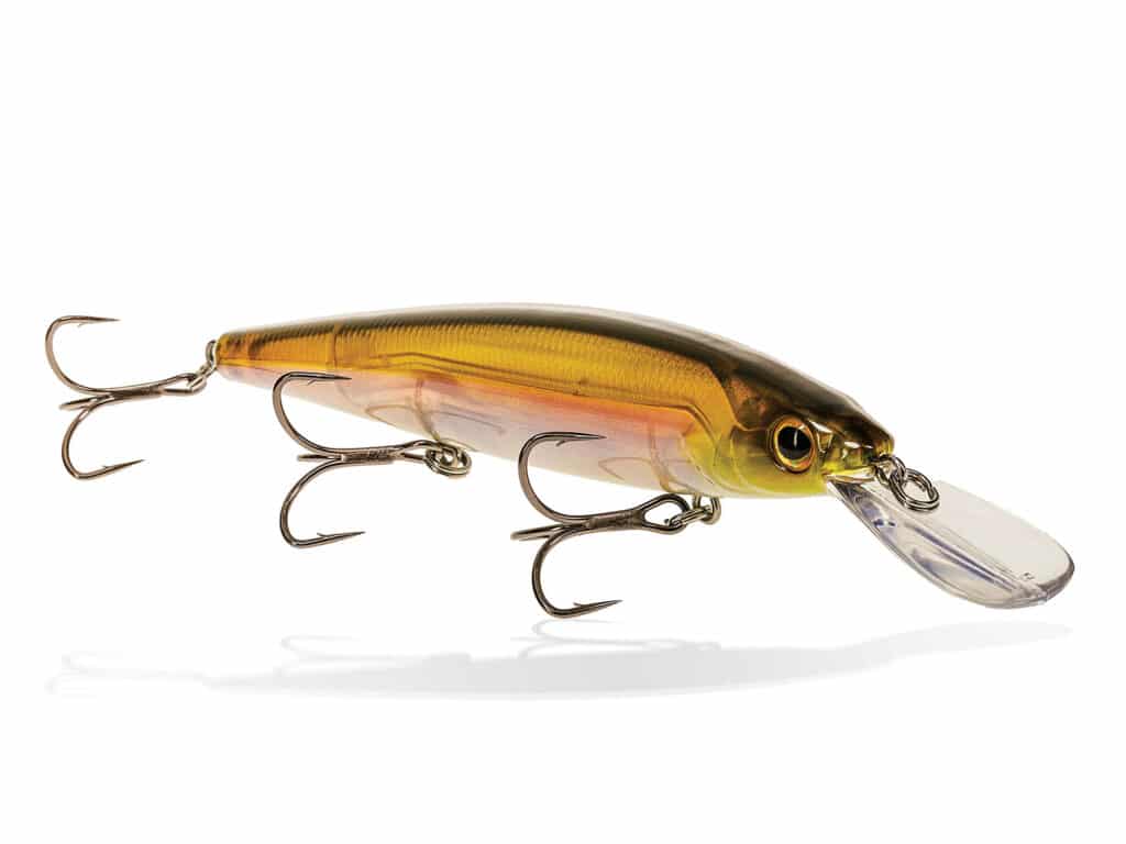 A Buyer's Guide to Buying the Best Topwater Lures