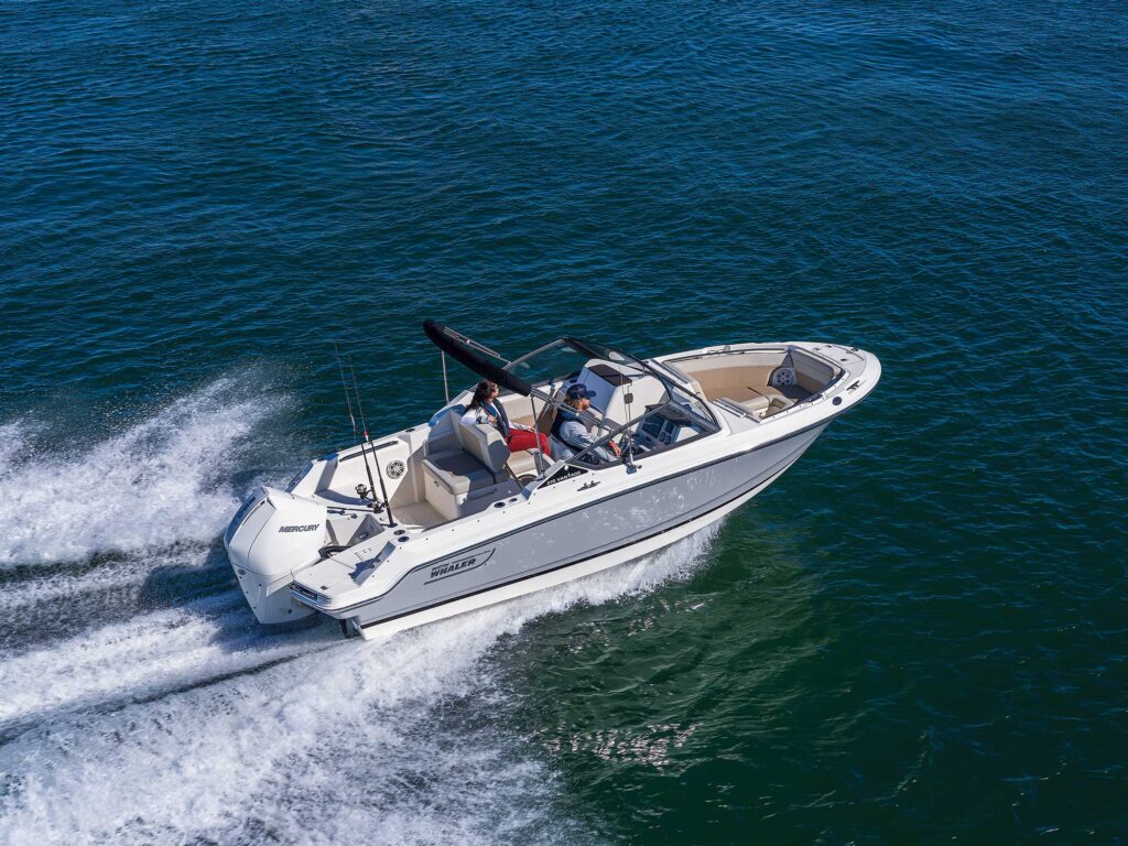 Boston Whaler 210 Vantage overhead