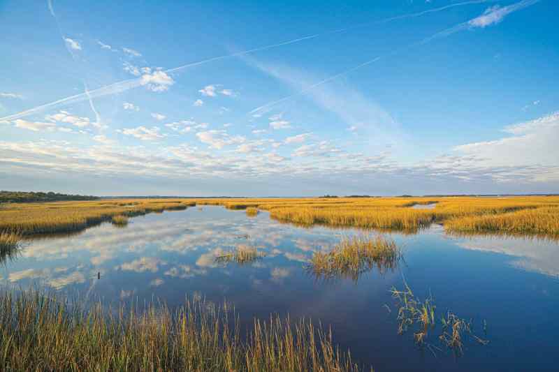 Cumberland Beach Creek oyster beds