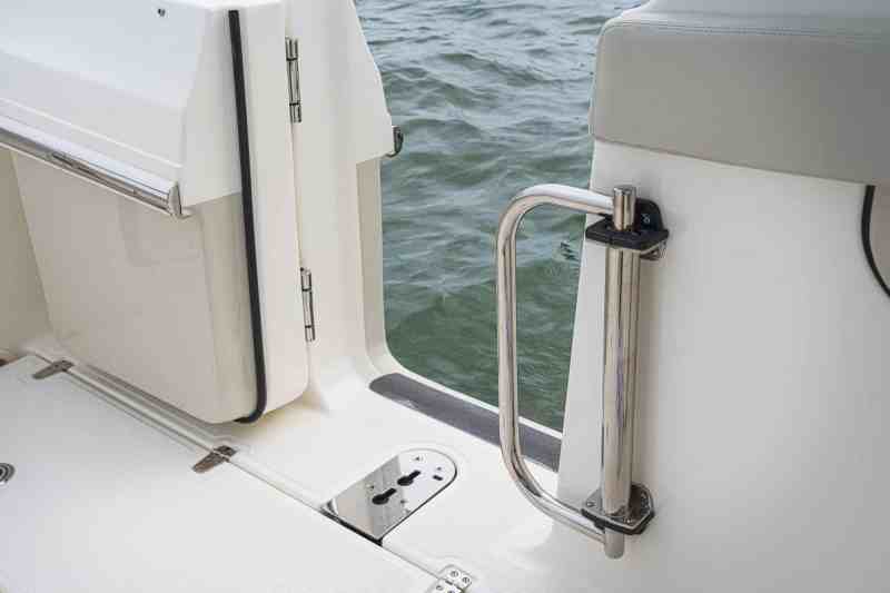 Boston Whaler 280 Vantage dive door