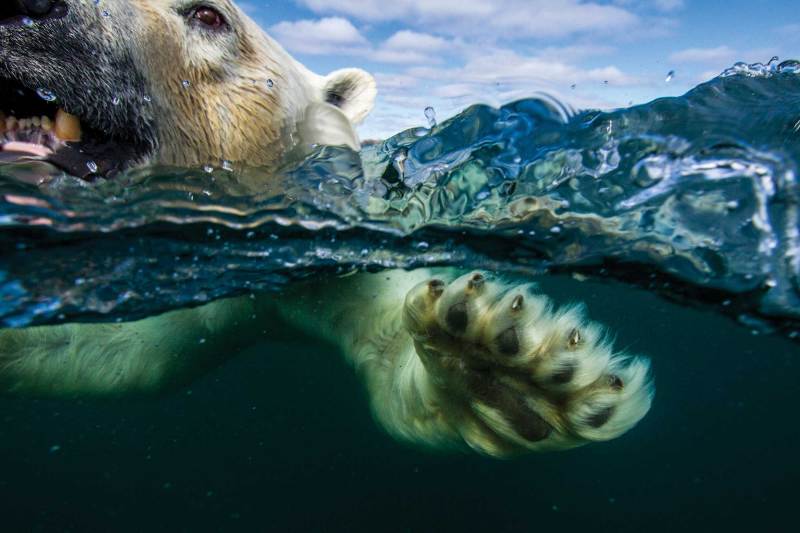 Cruising Arctic Waters in a Small Recreational Boat