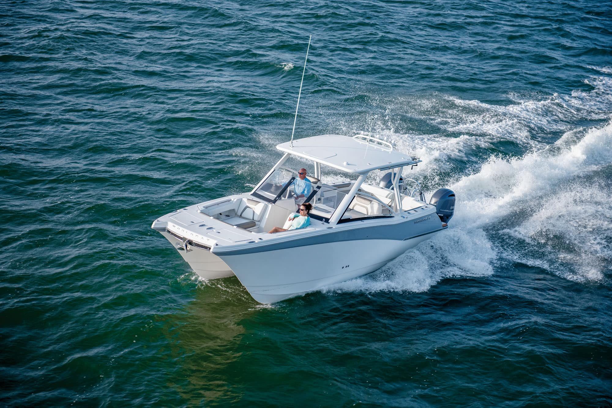 キャット　2体 New World Cat 280CC-X Released - World Cat
