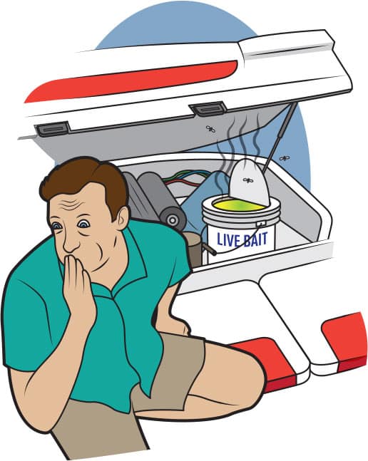 Five Things You Don't Want to Find in Your Engine Bay