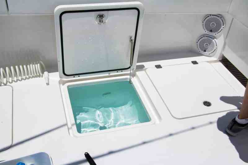 Invincible Boats 40 Cat Boat Test