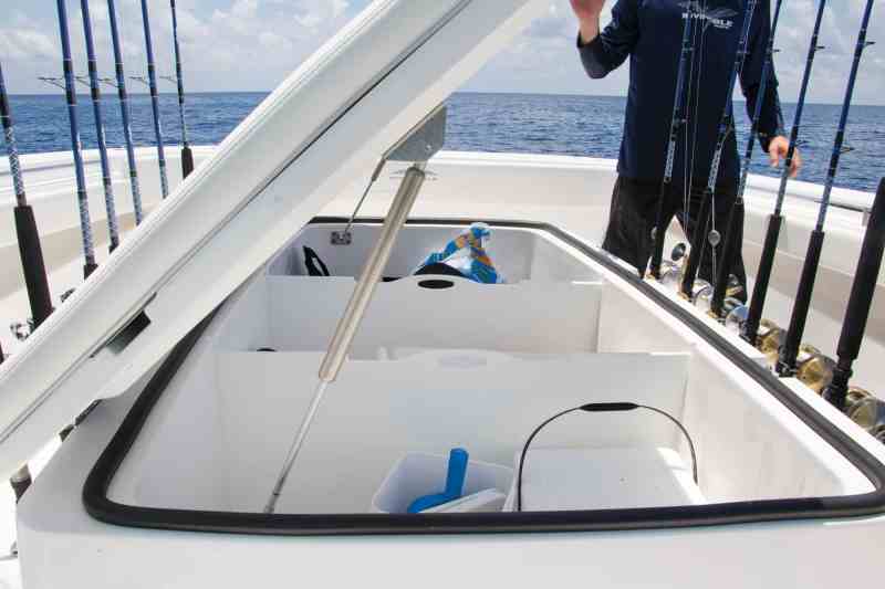 Invincible Boats 40 Cat Boat Test
