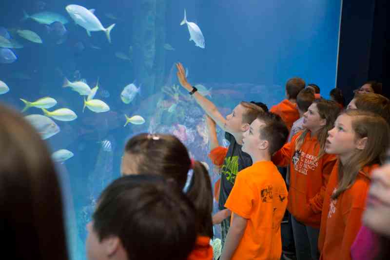 Wonders of Wildlife Museum Opening