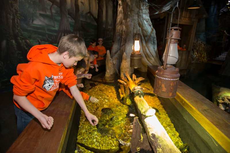 Wonders of Wildlife Museum Opening