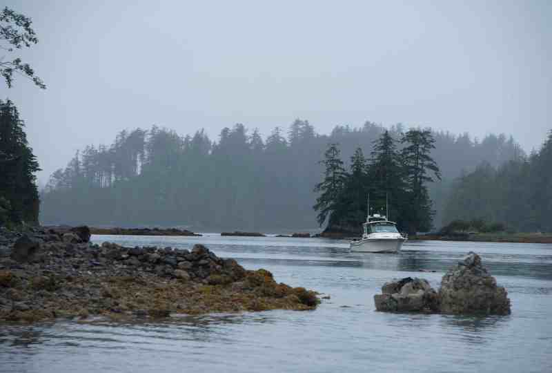 Spectacular Beauty of Vancouver Island
