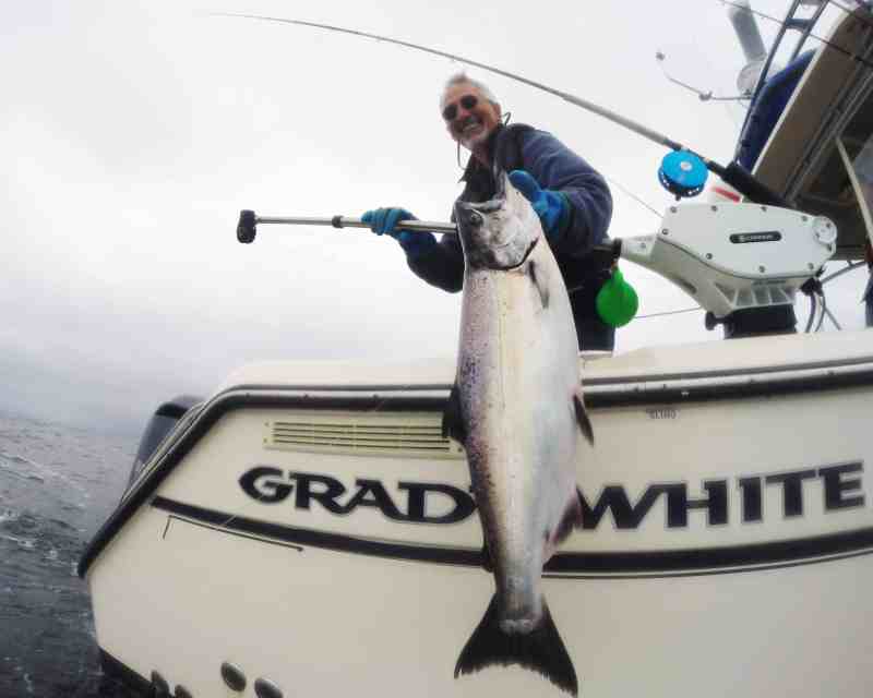 Fishing Deep for Salmon