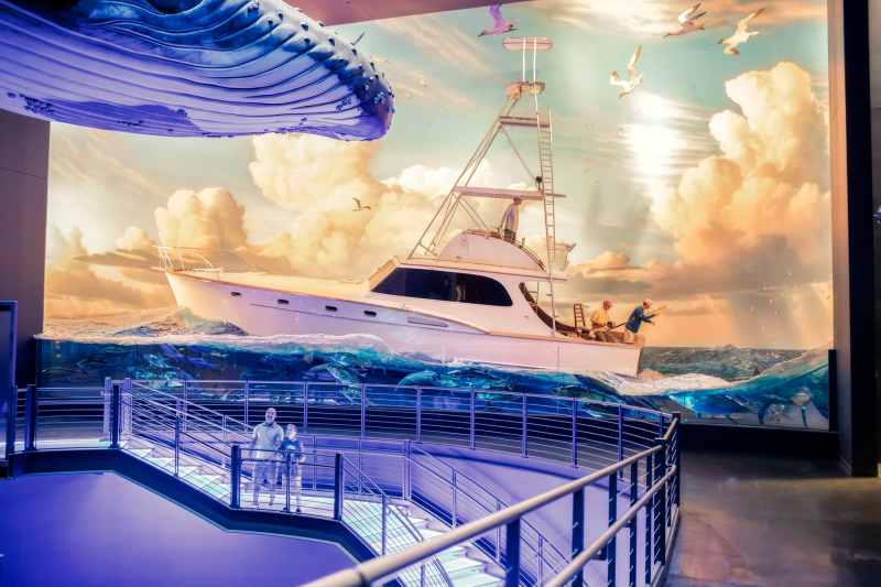 Wonders of Wildlife Museum Opening