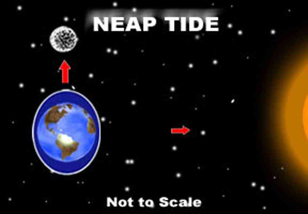 12 Different Types of Tides Explained | Boating Mag