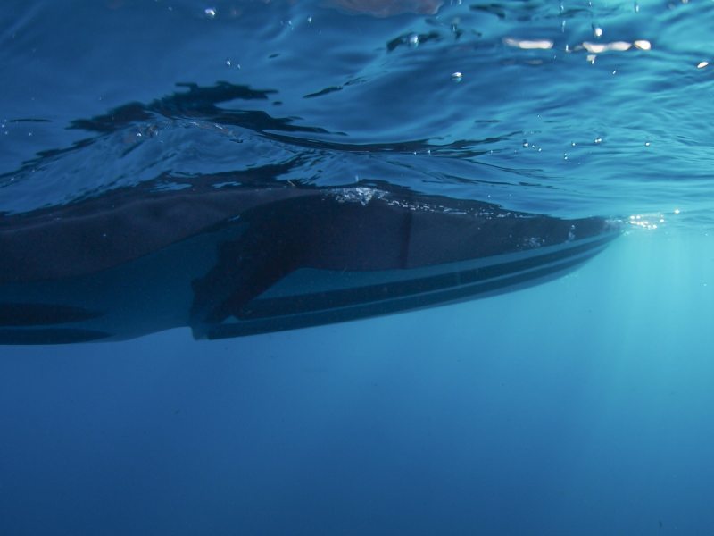 Stepped Hull vs. V-Hull