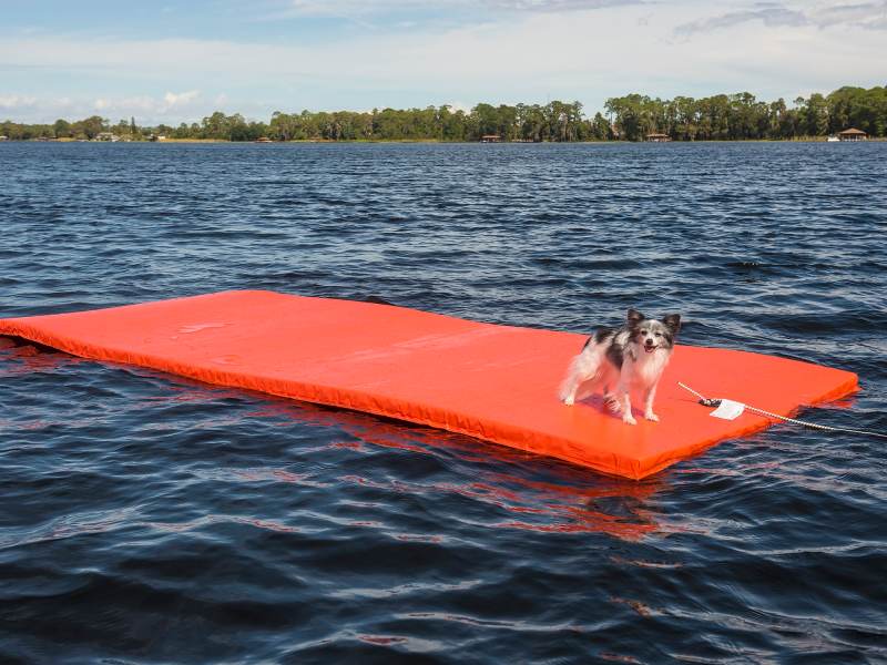 WaterMat DoggyMat and DoggyMat Plus