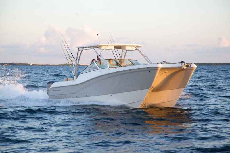 World Cat 295DC