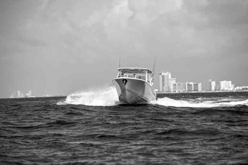 Sailfish running in the ocean