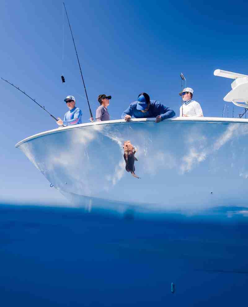 Grouper catch protected by Sharkbanz Zeppelin