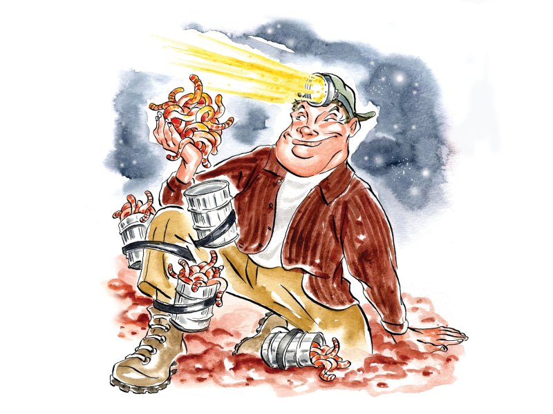 BTG525-OMD-Bait Selling worms for fishing