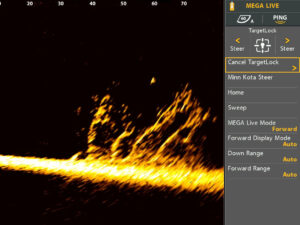 Humminbird FFS screen