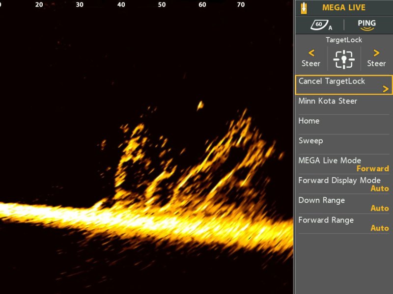 Humminbird FFS screen