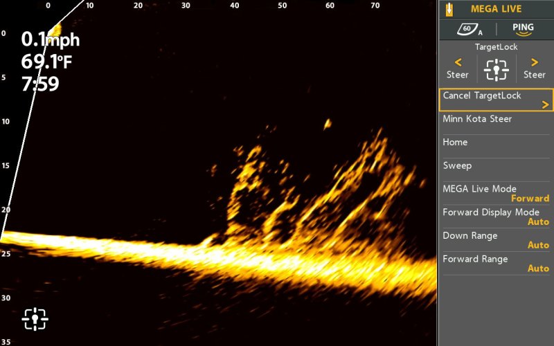 Humminbird FFS screen