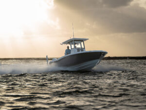 Caymas 291 HB running offshore