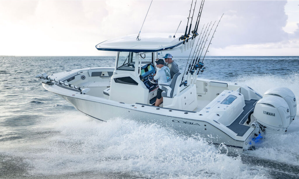 Cobia 245