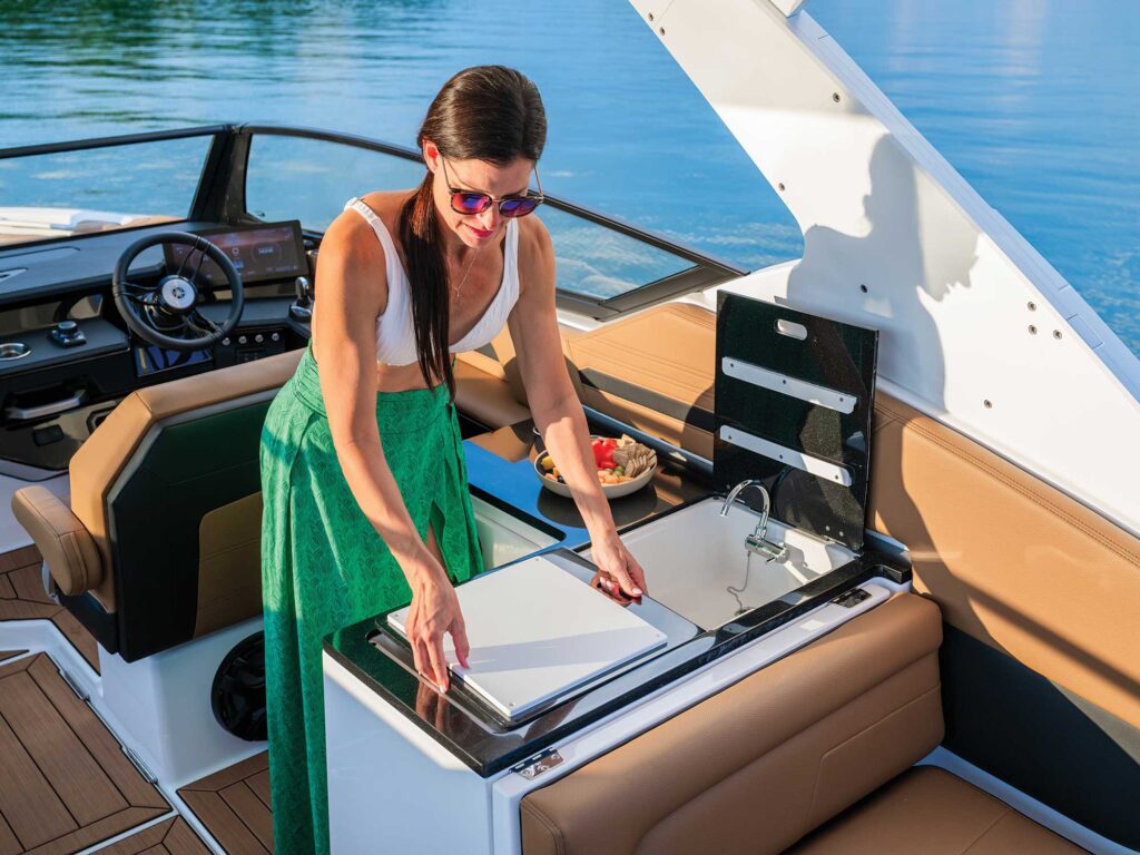 Yamaha 295SD cockpit