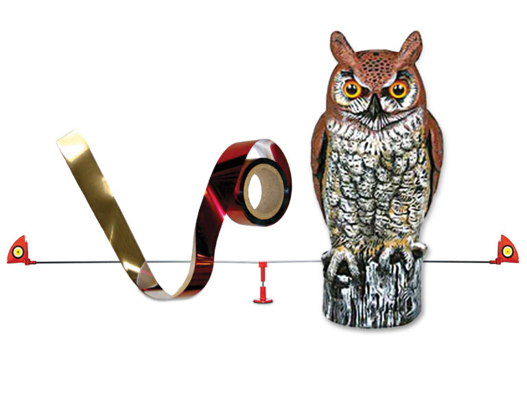 Bird repellents for boaters