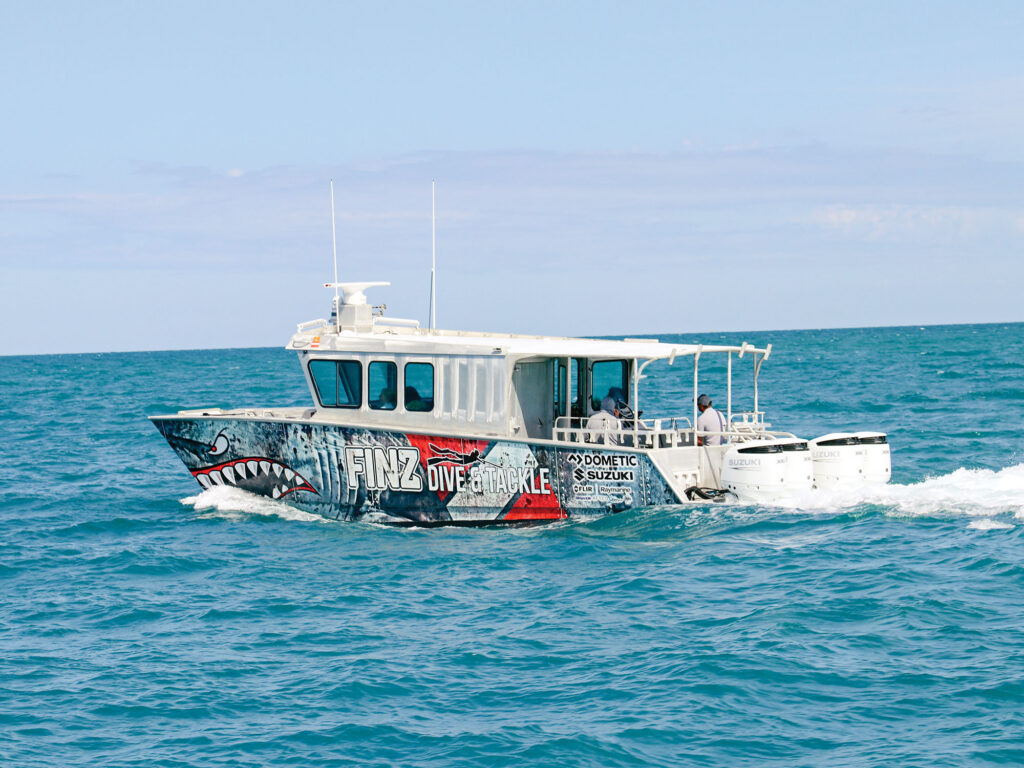 Aluminum Park Shark catamaran with gyro