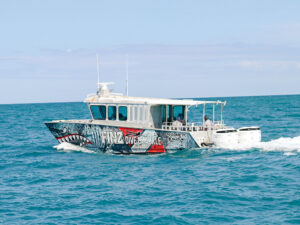 Aluminum Park Shark catamaran with gyro