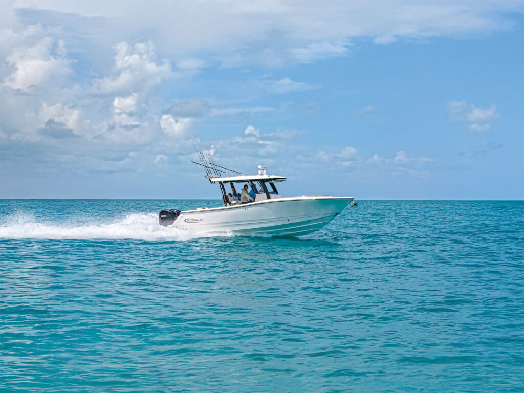 Robalo center console