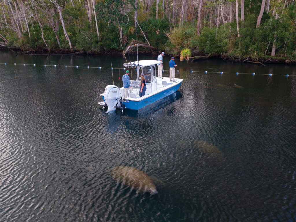 Flat-bottom boat near Homosassa