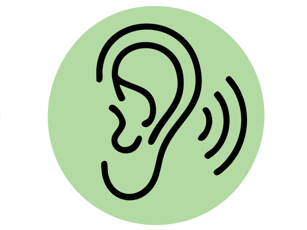 Hearing sense for spring fitting out