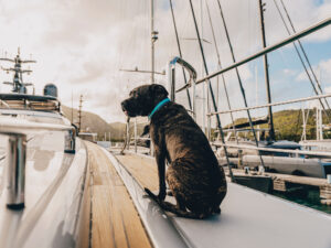 Capt. Clark on a yacht