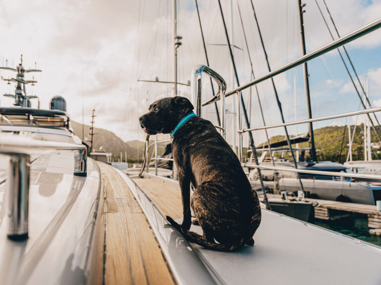 Capt. Clark on a yacht
