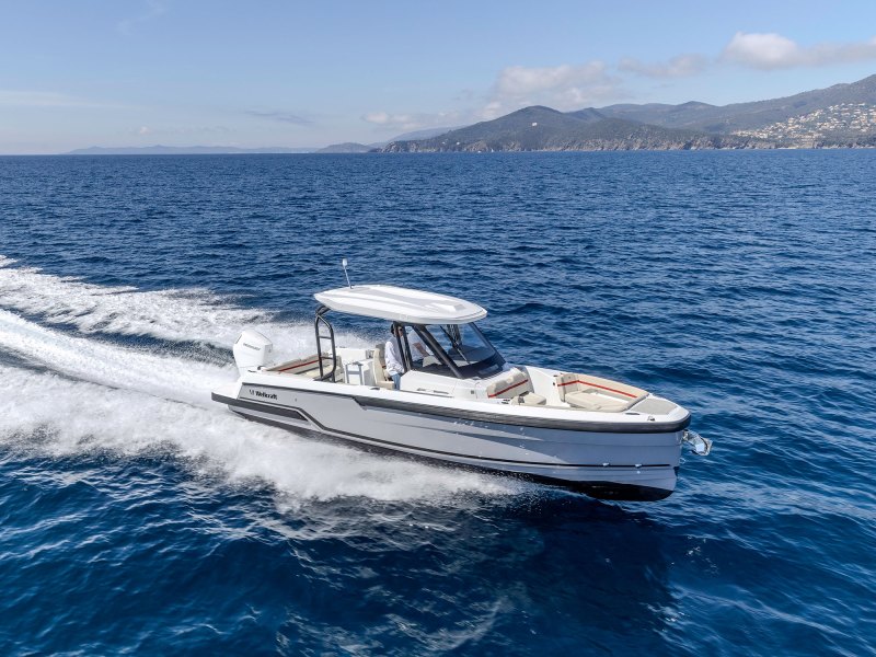 Wellcraft 28 T-Top running near shore