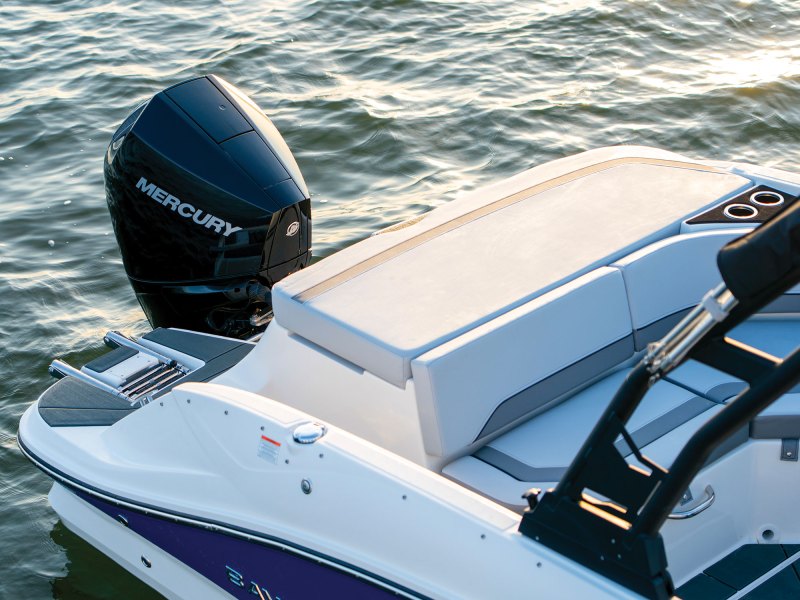 Bayliner V22 sunpad